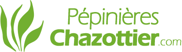 Logo Pepinieres Chazottier