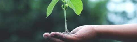 Sustainability