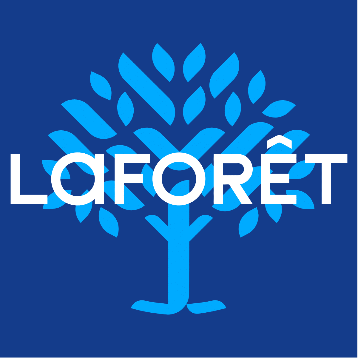 logo-laforet-visiativ-document-immobilier