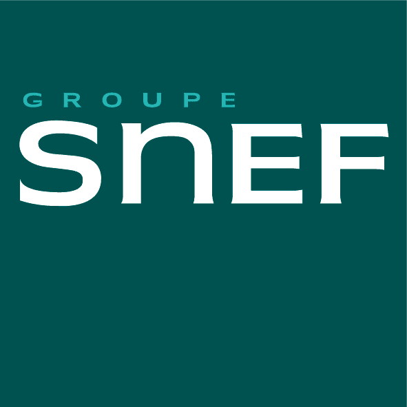 Logo Groupe Snef